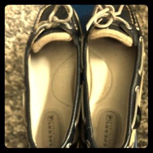 Sorry angelfish Black